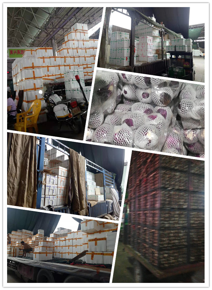 PA视讯(中国)集团官网 - PlayAce