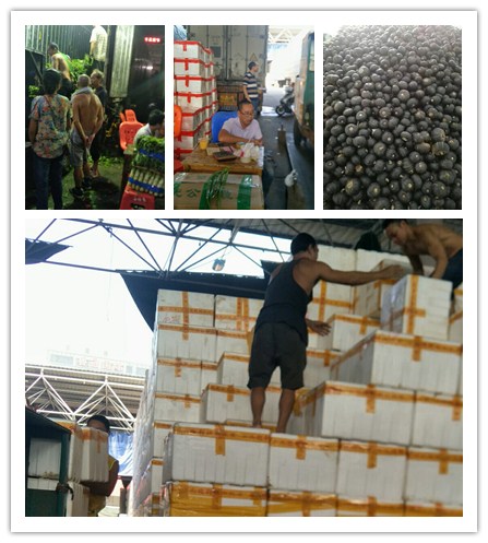 PA视讯(中国)集团官网 - PlayAce