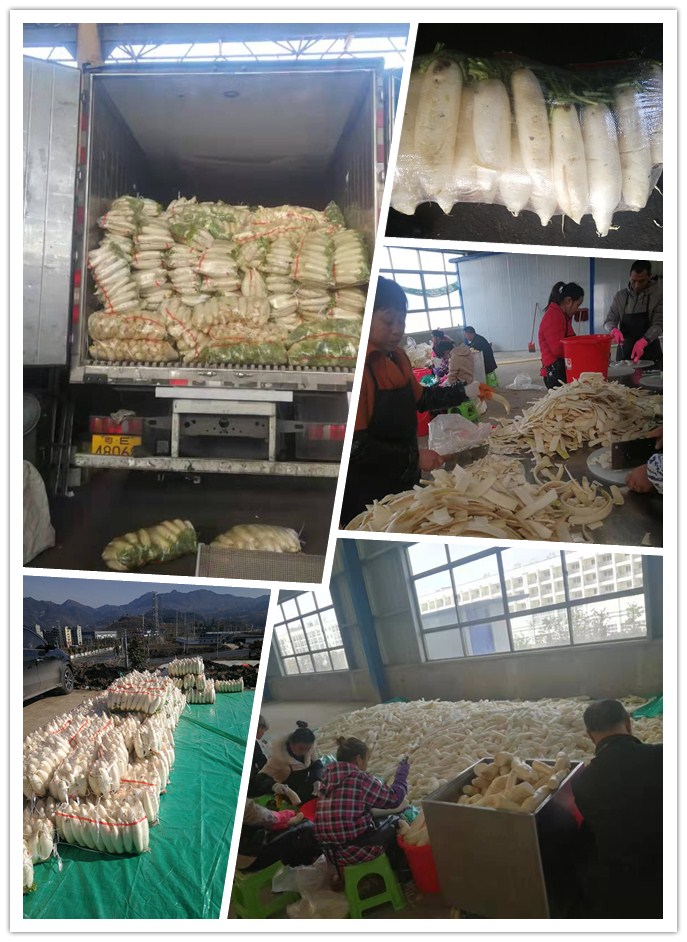 PA视讯(中国)集团官网 - PlayAce