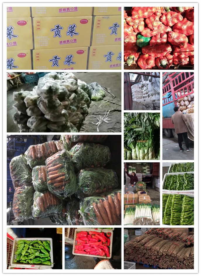 PA视讯(中国)集团官网 - PlayAce