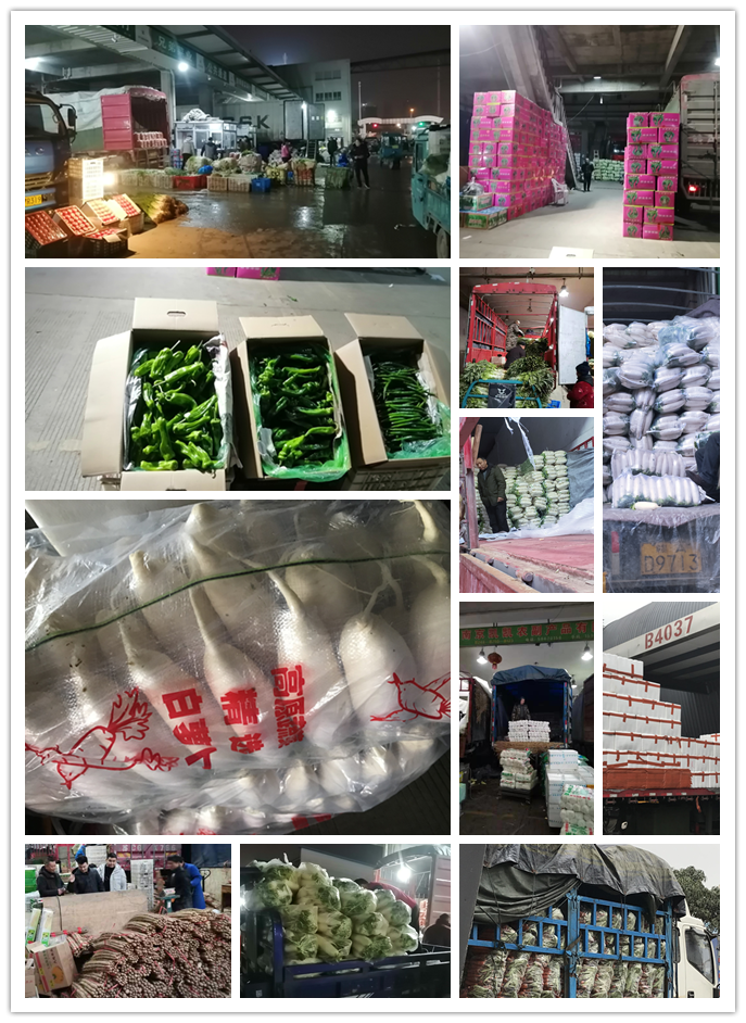 PA视讯(中国)集团官网 - PlayAce