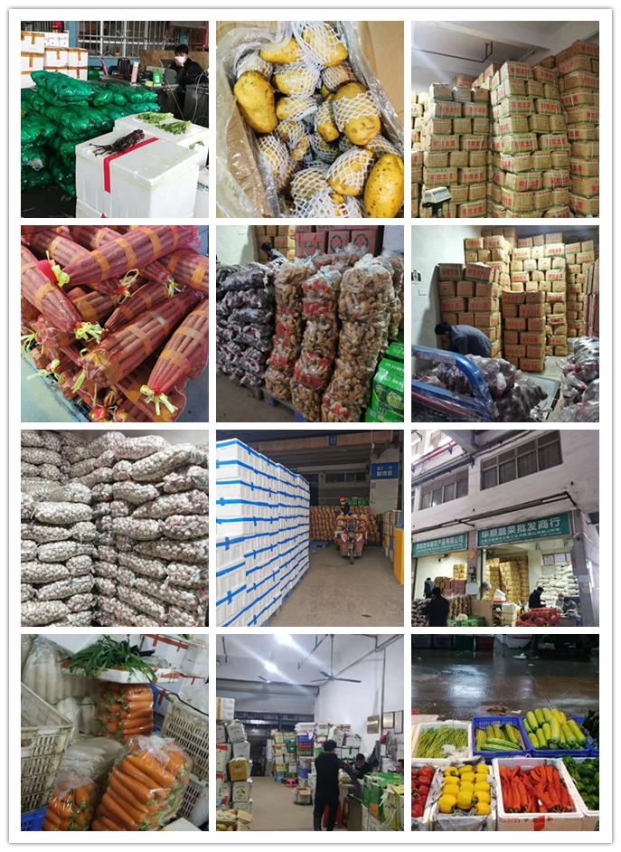 PA视讯(中国)集团官网 - PlayAce