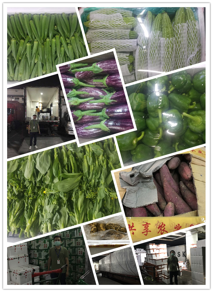 PA视讯(中国)集团官网 - PlayAce