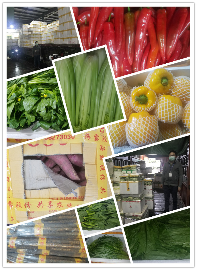 PA视讯(中国)集团官网 - PlayAce