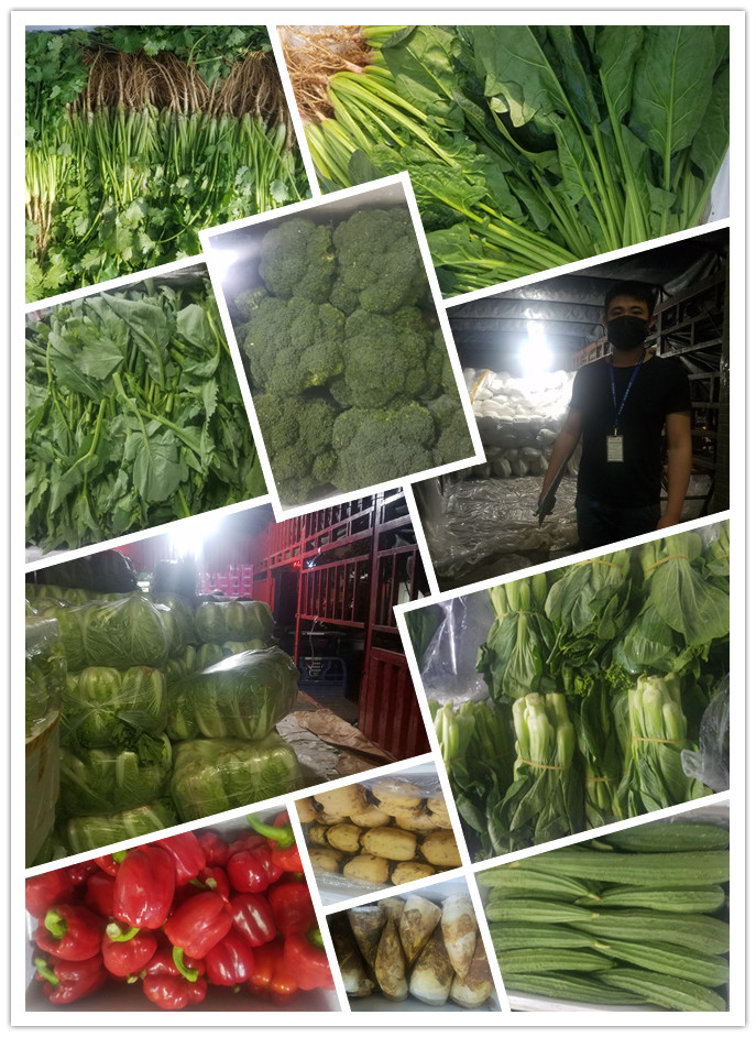 PA视讯(中国)集团官网 - PlayAce