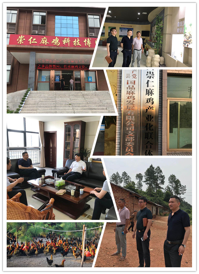 PA视讯(中国)集团官网 - PlayAce