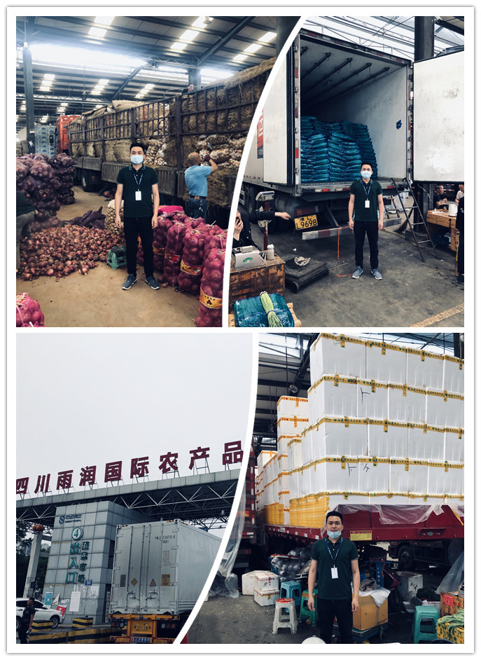 PA视讯(中国)集团官网 - PlayAce