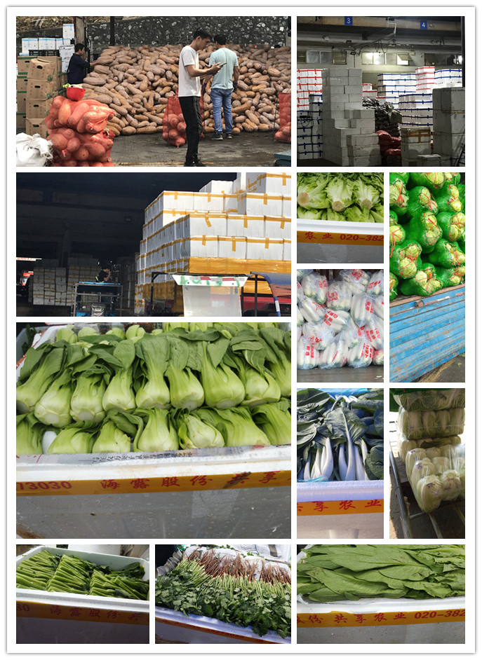 PA视讯(中国)集团官网 - PlayAce