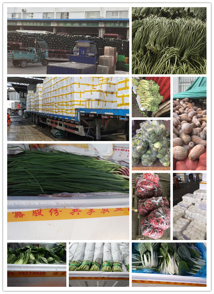 PA视讯(中国)集团官网 - PlayAce