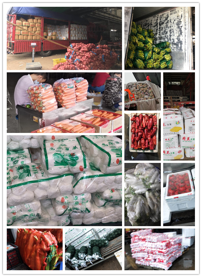 PA视讯(中国)集团官网 - PlayAce