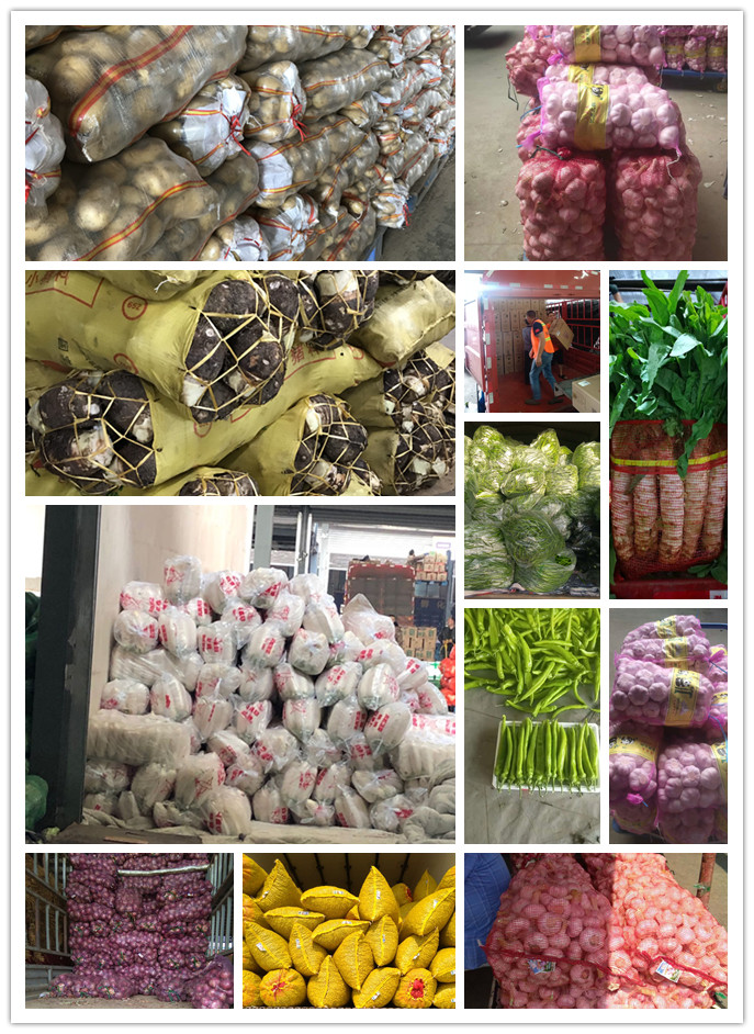 PA视讯(中国)集团官网 - PlayAce