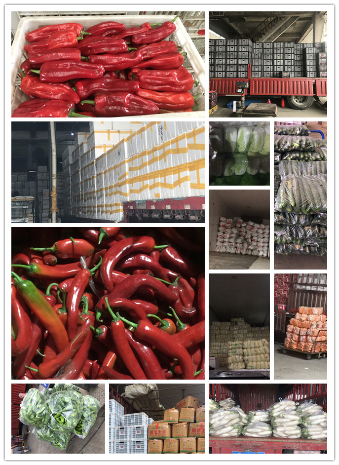 PA视讯(中国)集团官网 - PlayAce