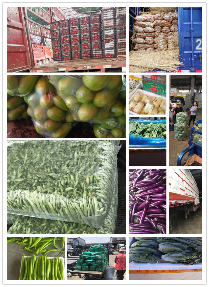 PA视讯(中国)集团官网 - PlayAce