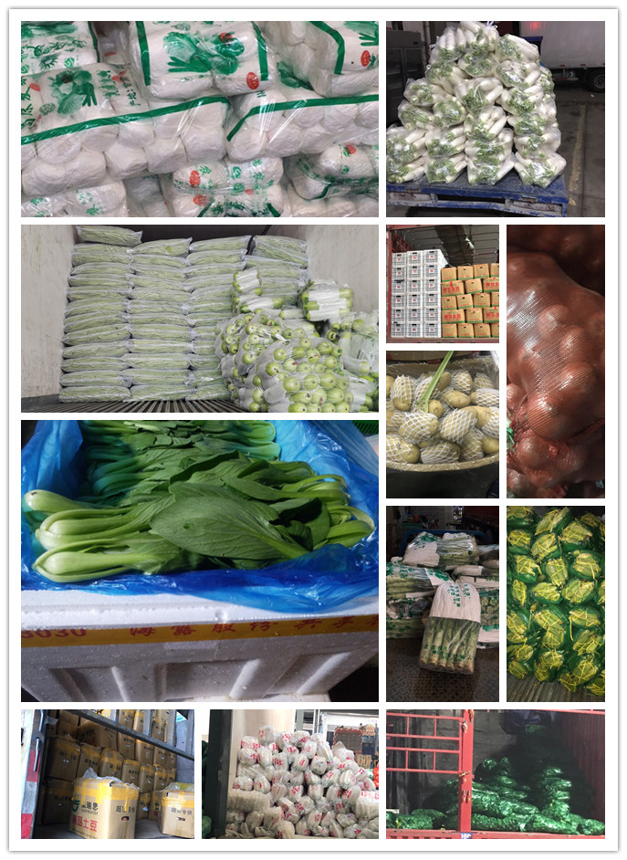 PA视讯(中国)集团官网 - PlayAce