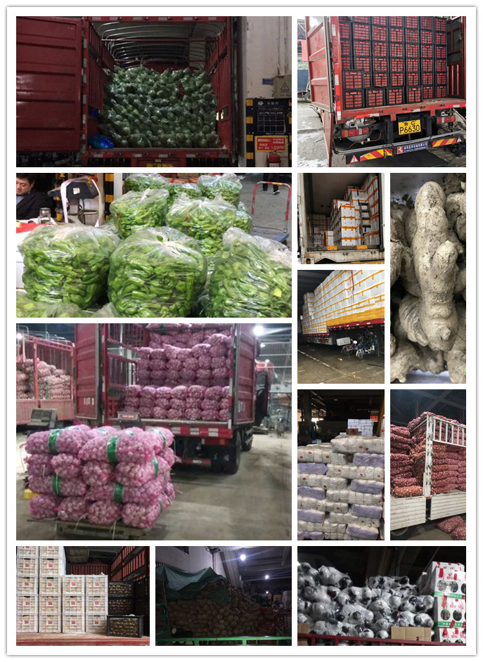 PA视讯(中国)集团官网 - PlayAce