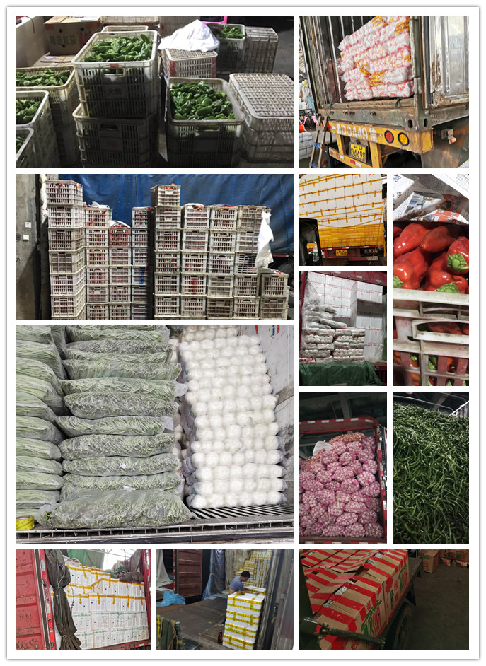 PA视讯(中国)集团官网 - PlayAce