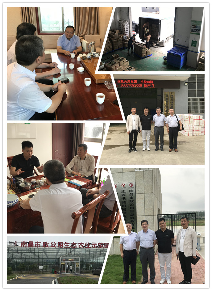 PA视讯(中国)集团官网 - PlayAce