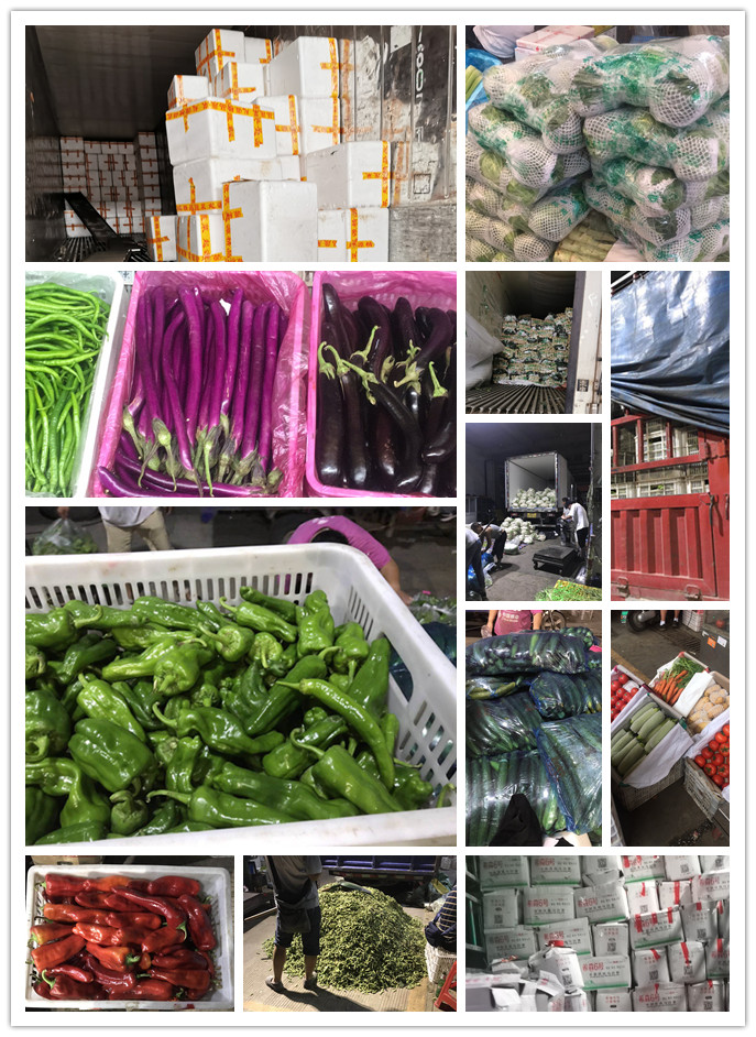 PA视讯(中国)集团官网 - PlayAce