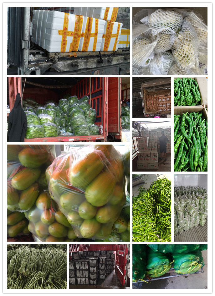 PA视讯(中国)集团官网 - PlayAce