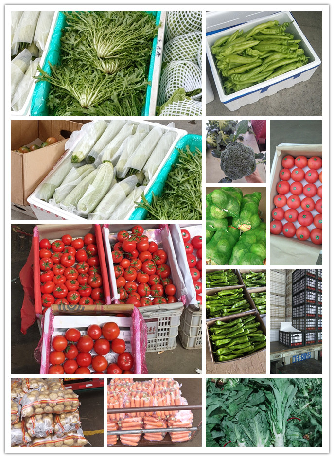 PA视讯(中国)集团官网 - PlayAce