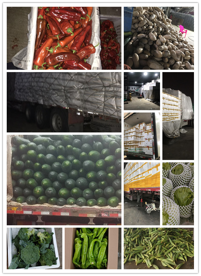 PA视讯(中国)集团官网 - PlayAce