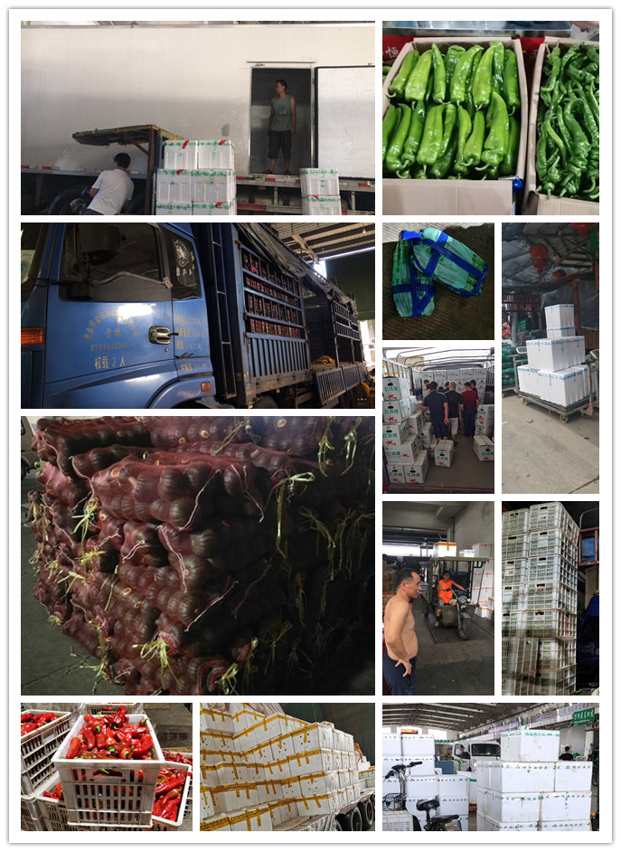 PA视讯(中国)集团官网 - PlayAce