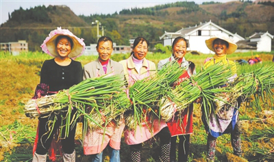 PA视讯(中国)集团官网 - PlayAce