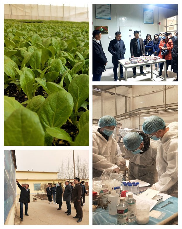 PA视讯(中国)集团官网 - PlayAce