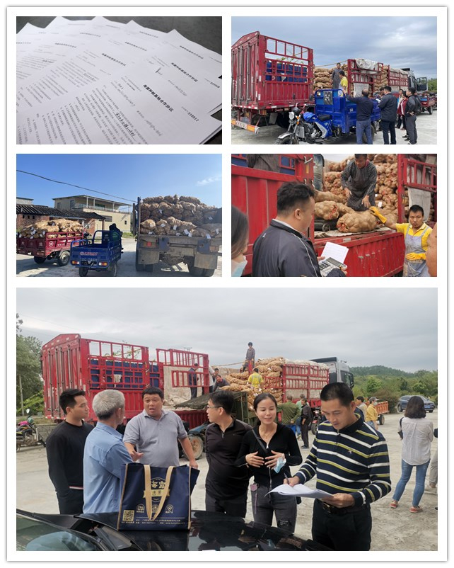 PA视讯(中国)集团官网 - PlayAce