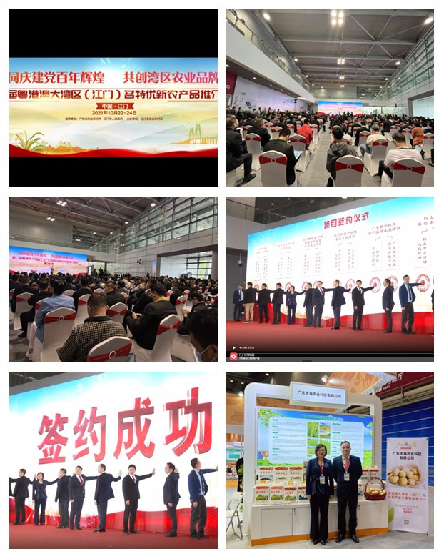 PA视讯(中国)集团官网 - PlayAce