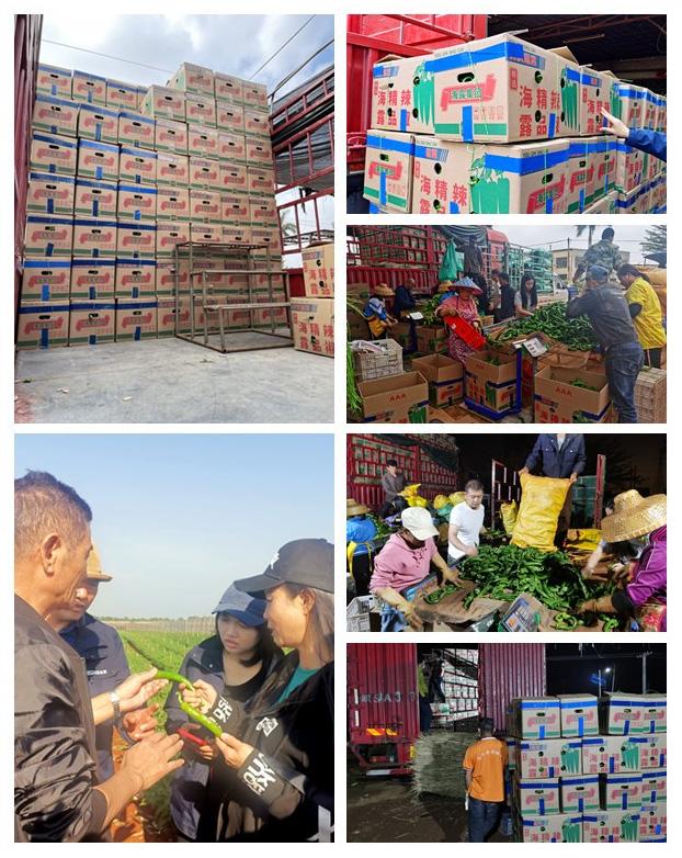 PA视讯(中国)集团官网 - PlayAce