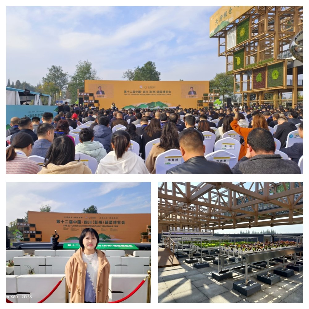 PA视讯(中国)集团官网 - PlayAce