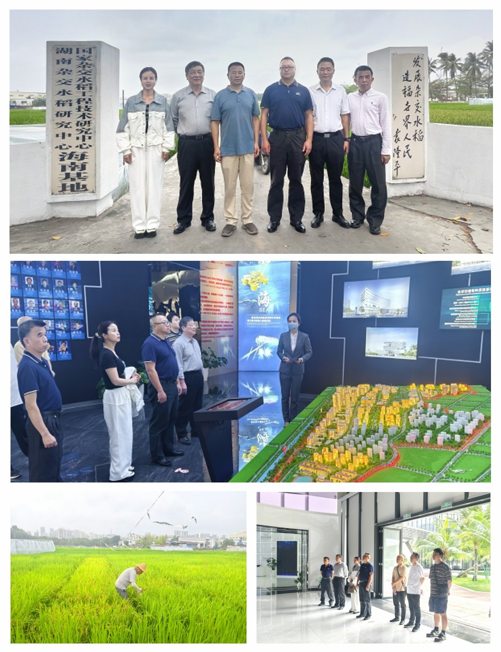 PA视讯(中国)集团官网 - PlayAce