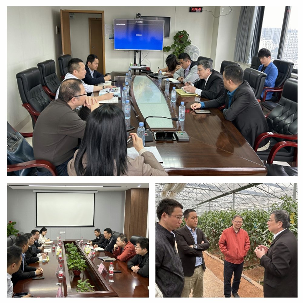 PA视讯(中国)集团官网 - PlayAce