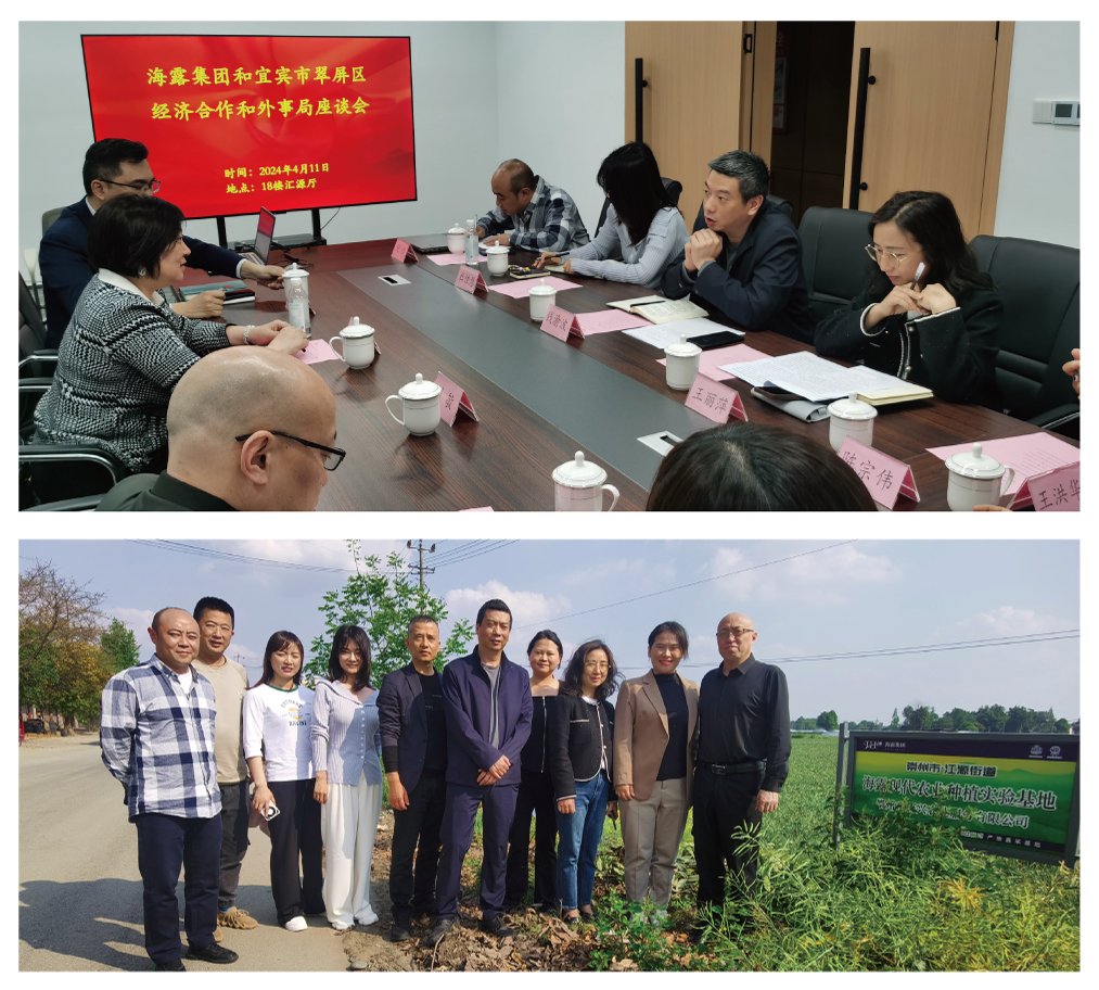 PA视讯(中国)集团官网 - PlayAce