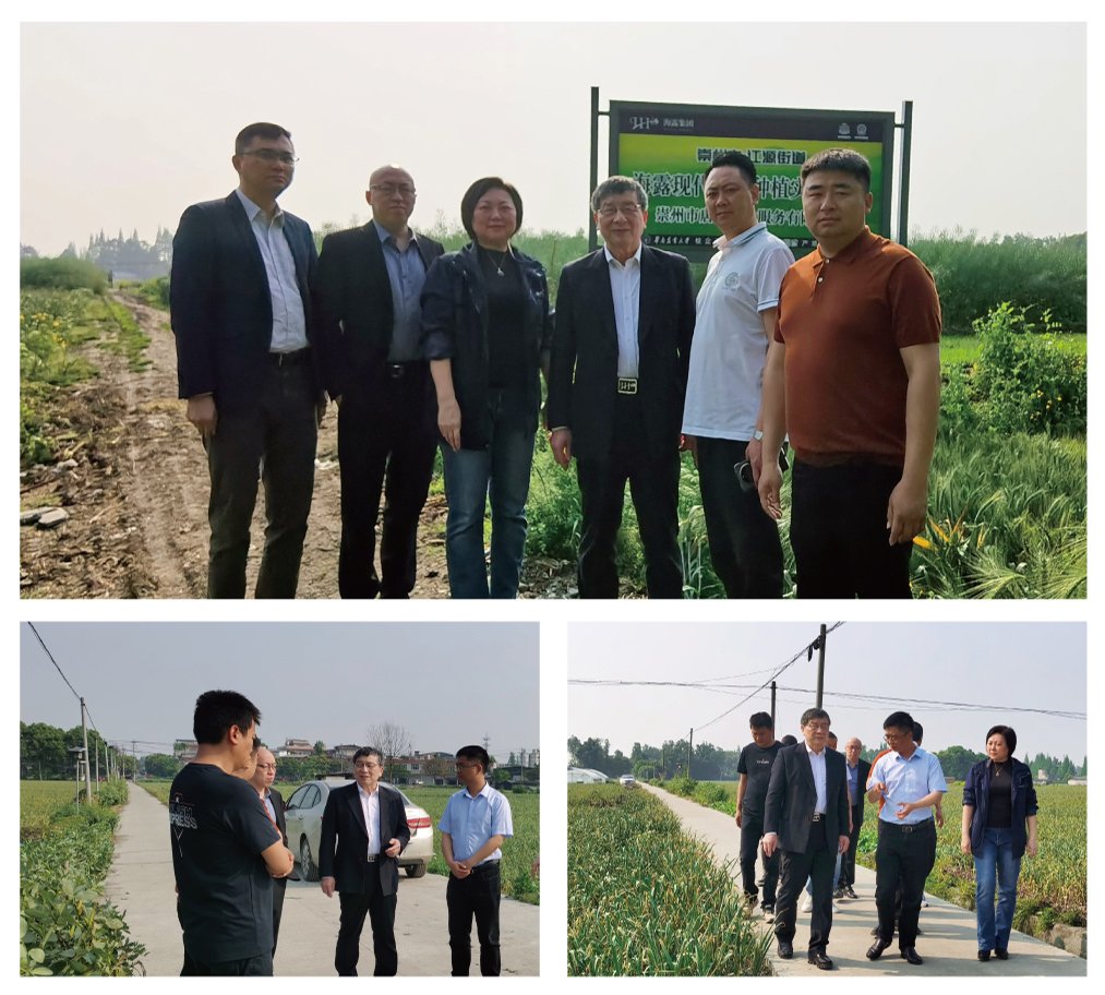 PA视讯(中国)集团官网 - PlayAce