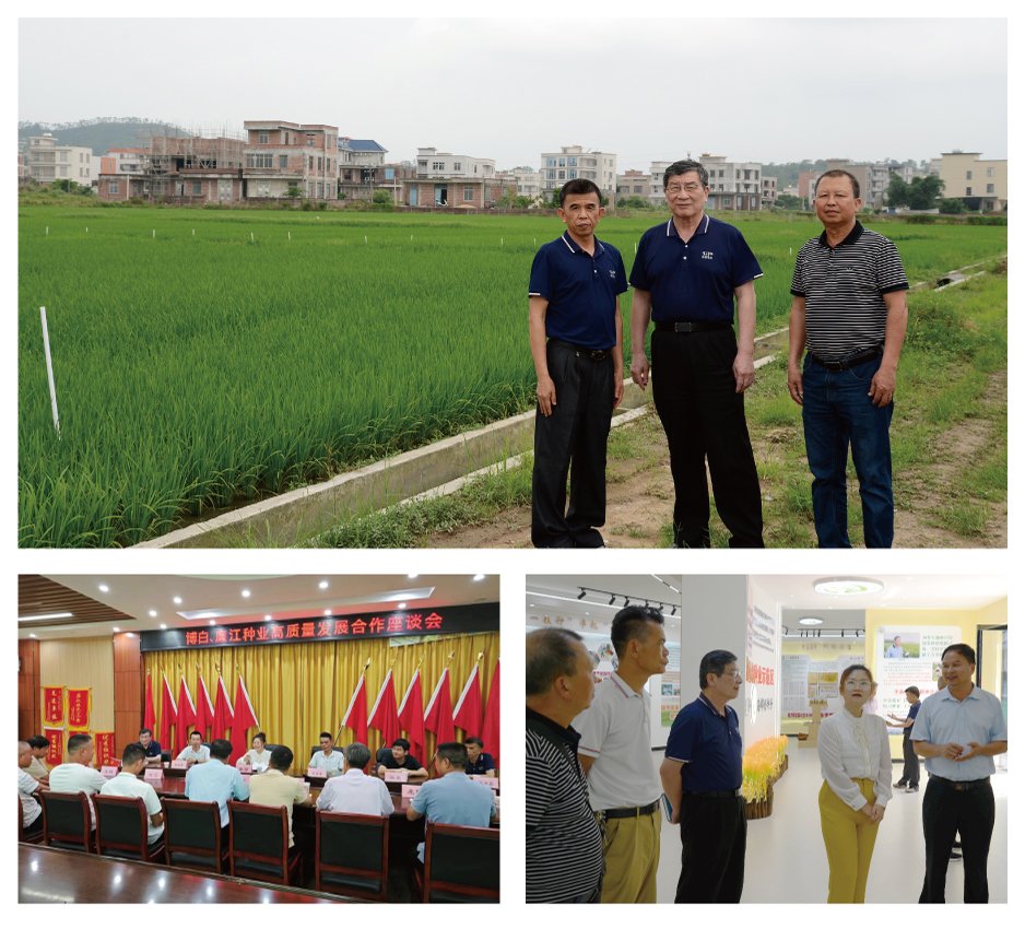 PA视讯(中国)集团官网 - PlayAce