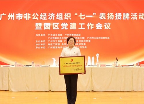 标杆引领，荣誉升级！集团党支部荣膺广州市非公有造经济组织“双强六好”标