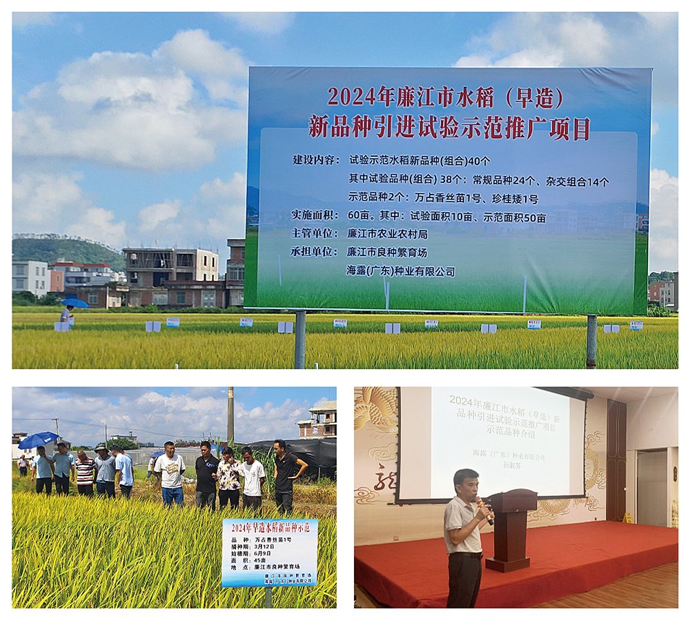 PA视讯(中国)集团官网 - PlayAce