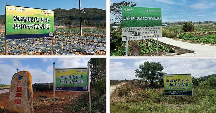 PA视讯(中国)集团官网 - PlayAce