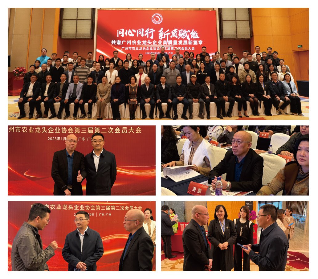 PA视讯(中国)集团官网 - PlayAce