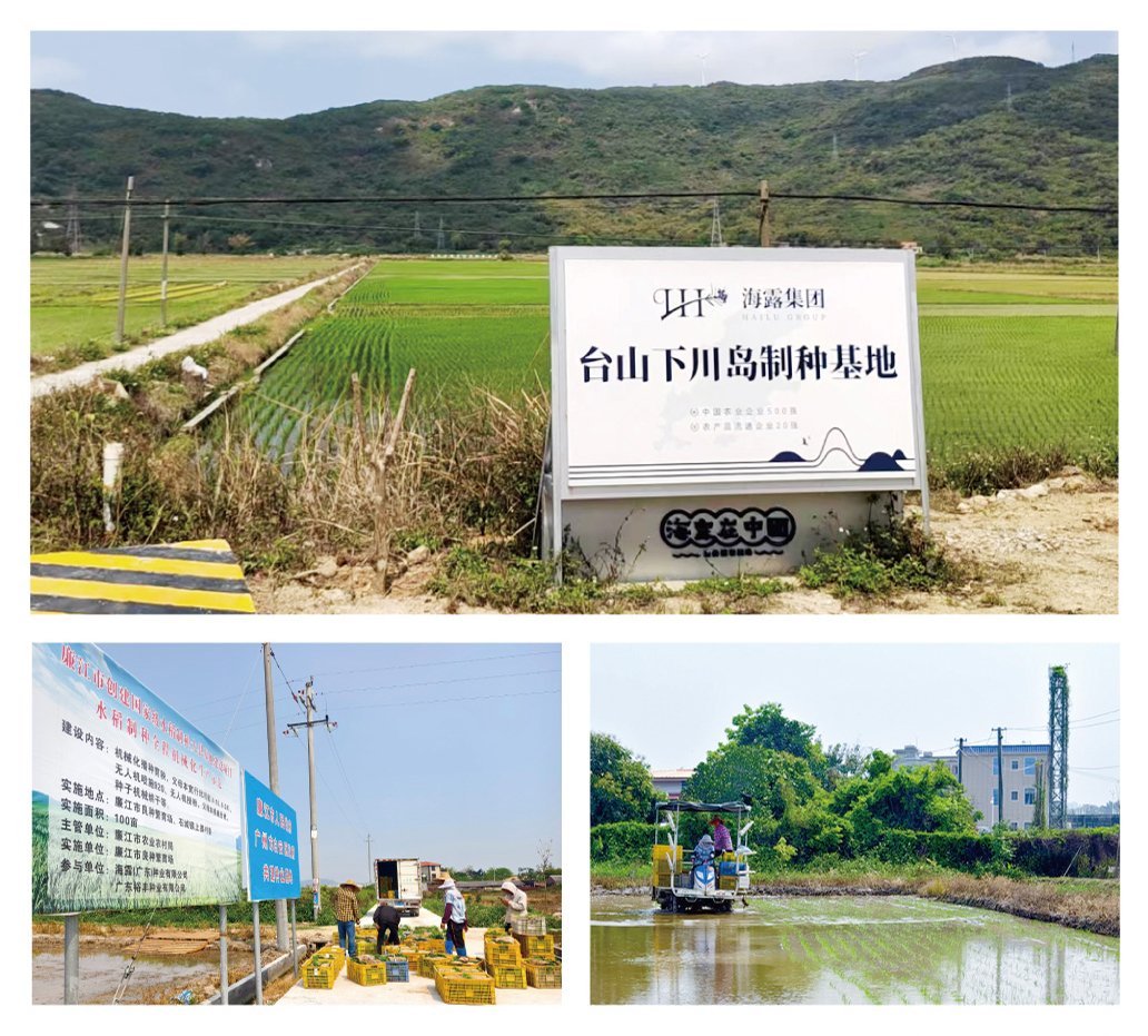 PA视讯(中国)集团官网 - PlayAce