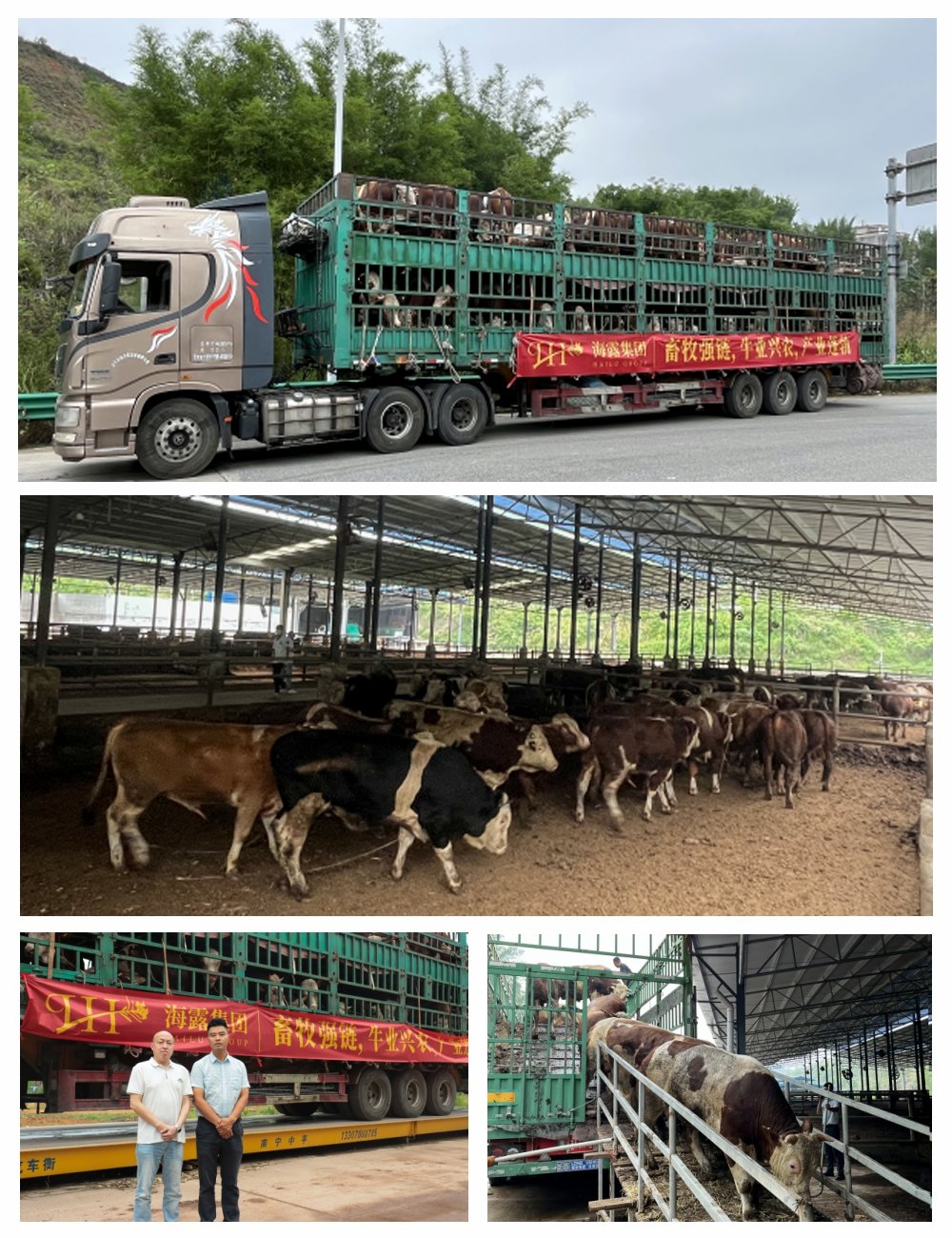 PA视讯(中国)集团官网 - PlayAce