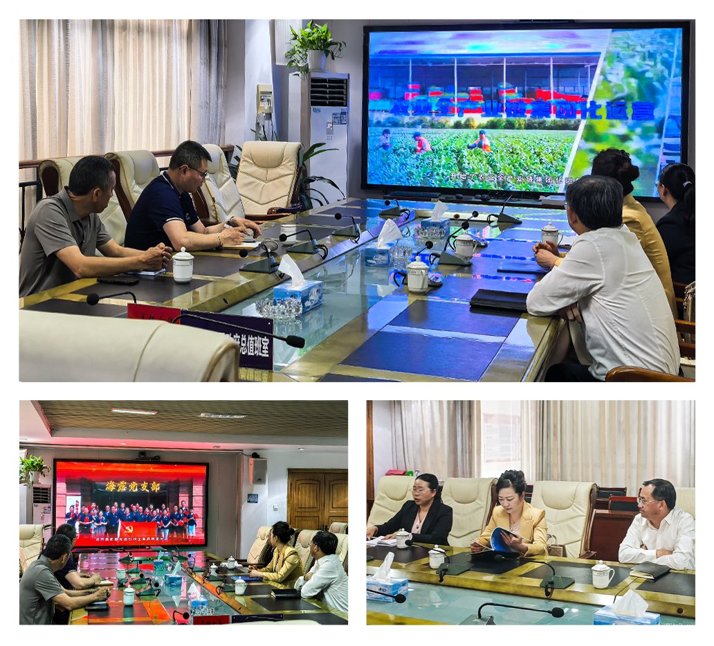 PA视讯(中国)集团官网 - PlayAce