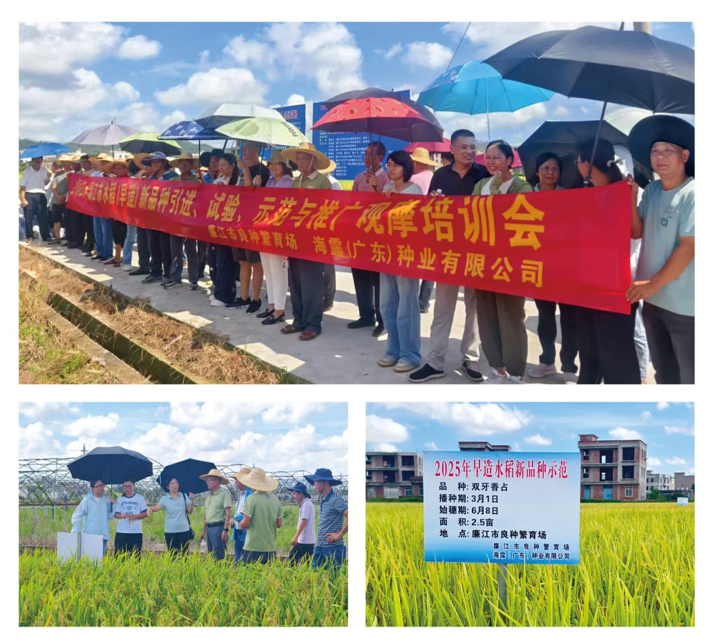 PA视讯(中国)集团官网 - PlayAce