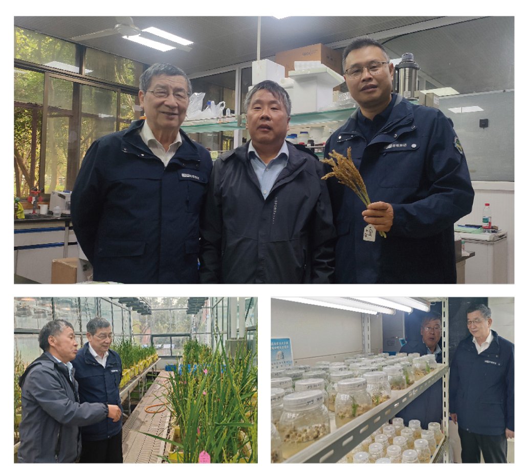 PA视讯(中国)集团官网 - PlayAce